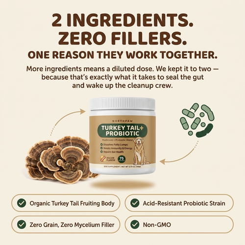 TurkeyTail+™ Fix the Gut. Dissolve the Lump.