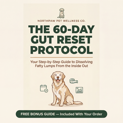 The 60-Day Gut Reset Protocol